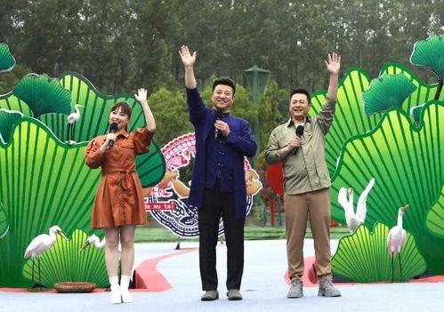 北京徒弟爆料新闻最新视频,揭秘视频背后的惊人真相